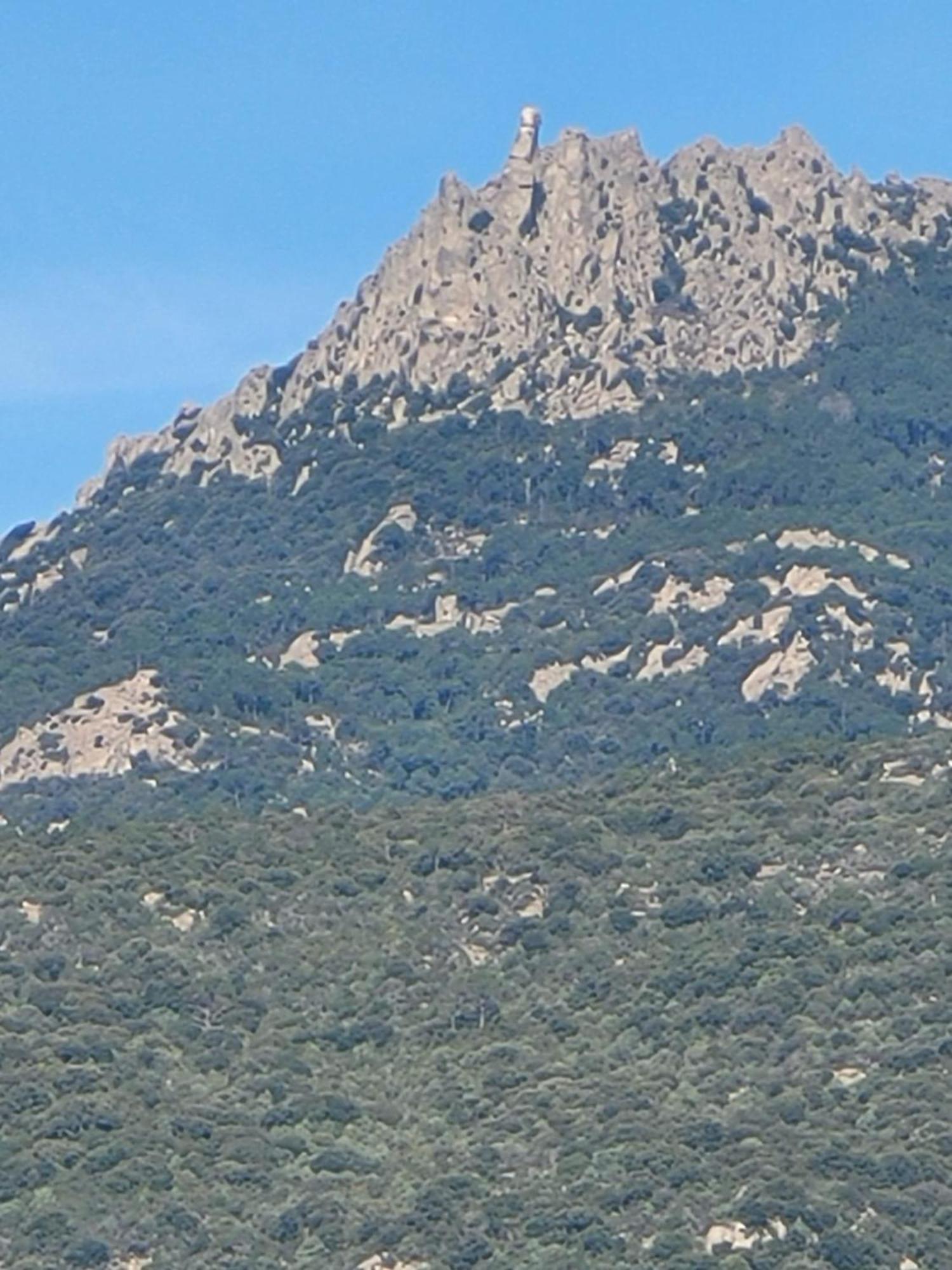 Argiale - Arghjale Vila Figari  Exterior foto